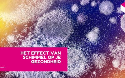 Schimmel: wat te doen aan deze vijand voor je gezondheid