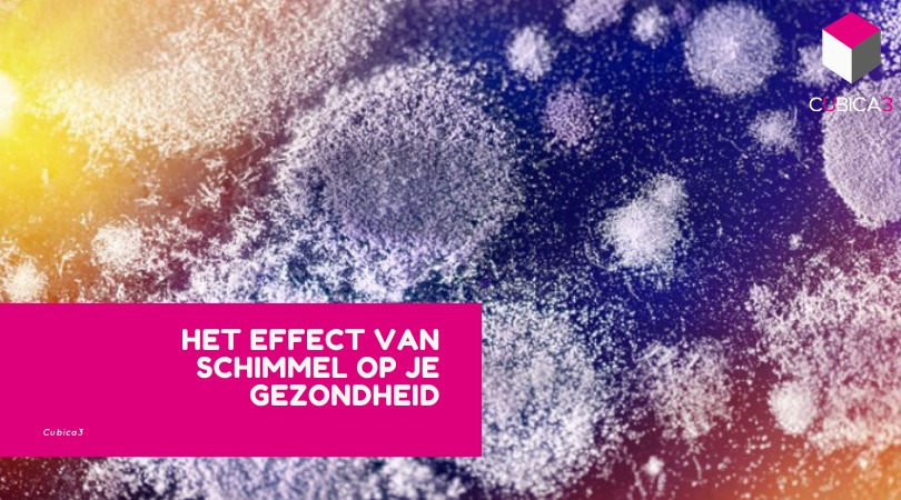 Schimmel: wat te doen aan deze vijand voor je gezondheid