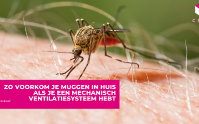 Zo voorkom je muggen in huis als je een mechanisch ventilatiesysteem hebt