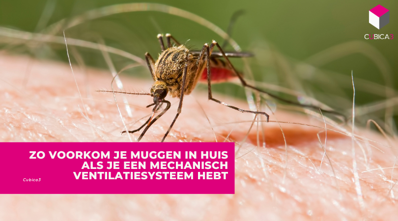Zo voorkom je muggen in huis als je een mechanisch ventilatiesysteem hebt