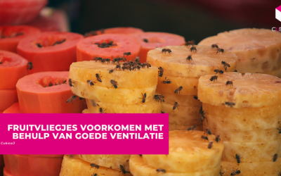 Fruitvliegjes voorkomen met behulp van goede ventilatie
