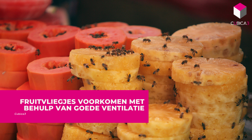 Fruitvliegjes voorkomen met behulp van goede ventilatie